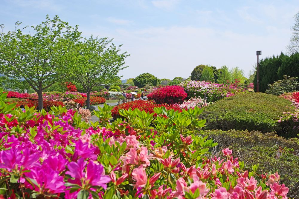 久留米百年公園の画像 - 2枚目