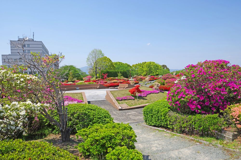 久留米百年公園の画像 - 3枚目