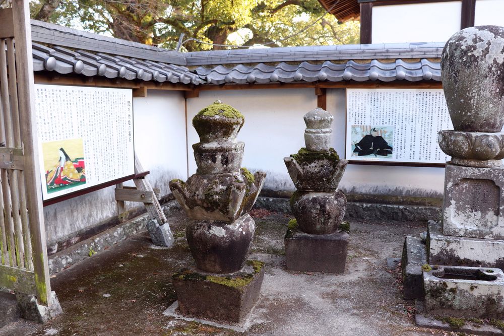 大本山 善導寺の画像 - 5枚目