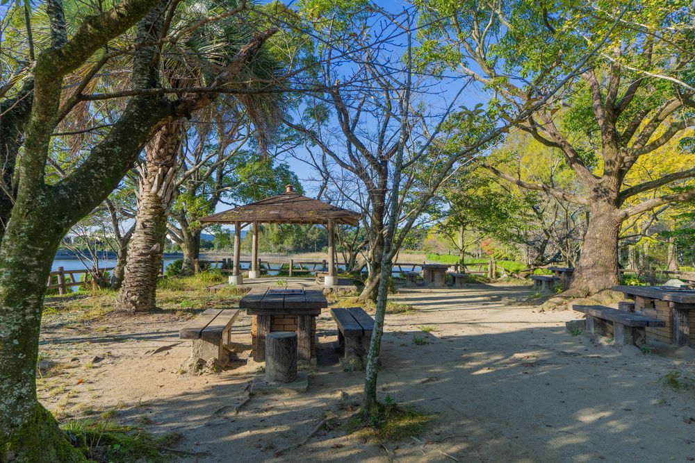 城山公園