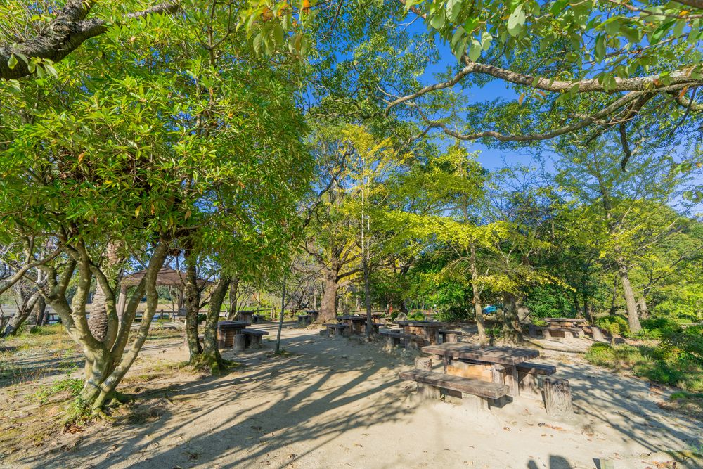 城山公園の画像 - 2枚目