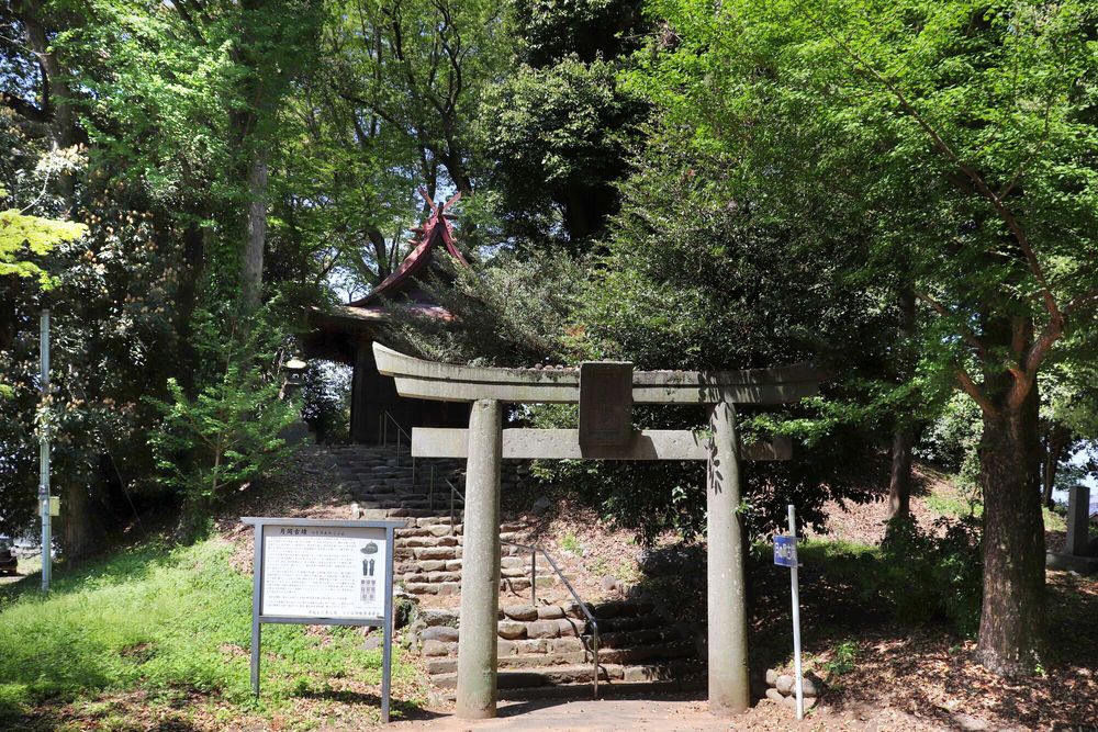 若宮八幡神社の画像 - 3枚目