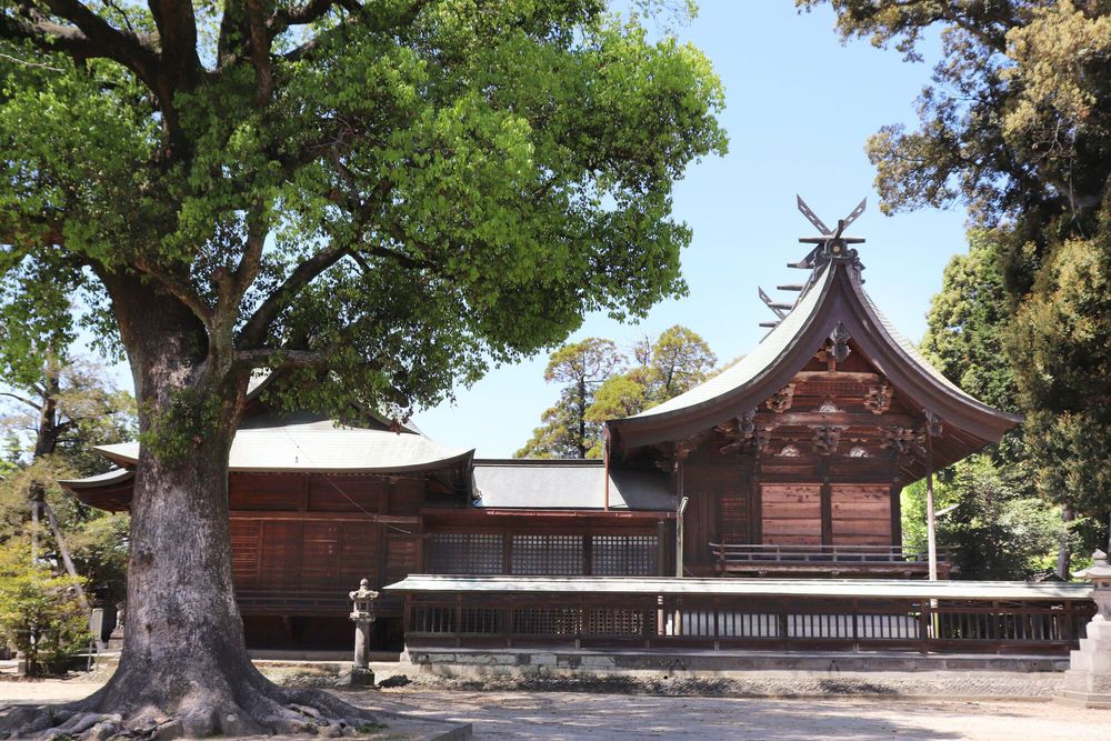 若宮八幡神社の画像 - 5枚目