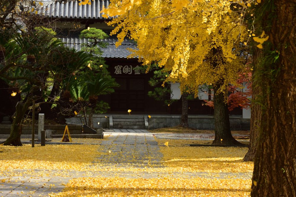 梅林寺の画像 - 3枚目