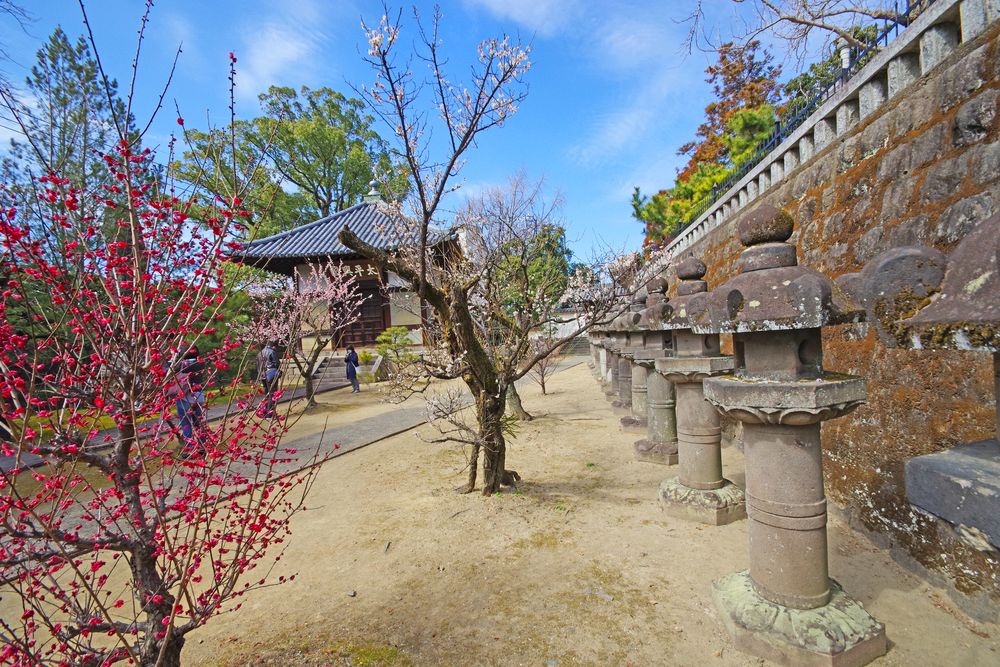 梅林寺の画像 - 4枚目