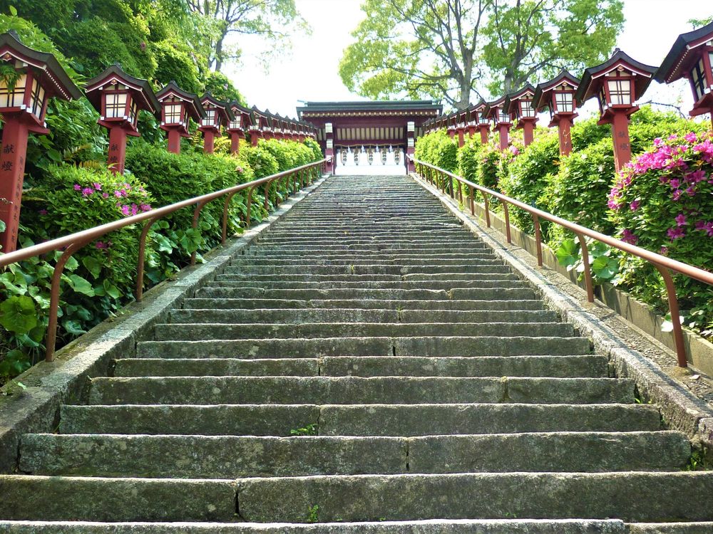 篠崎八幡神社の画像 - 5枚目