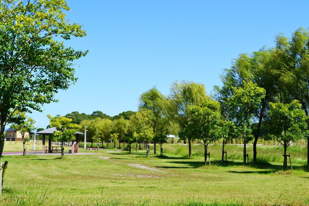 筑後広域公園の画像 - 2枚目