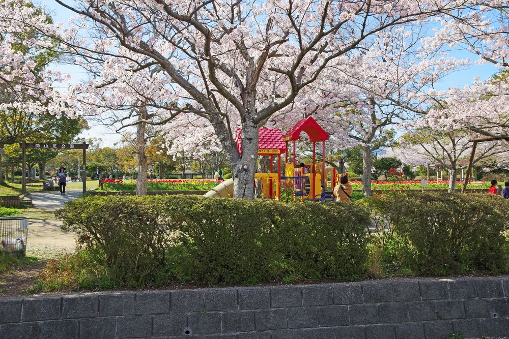 向山公園の画像 - 3枚目