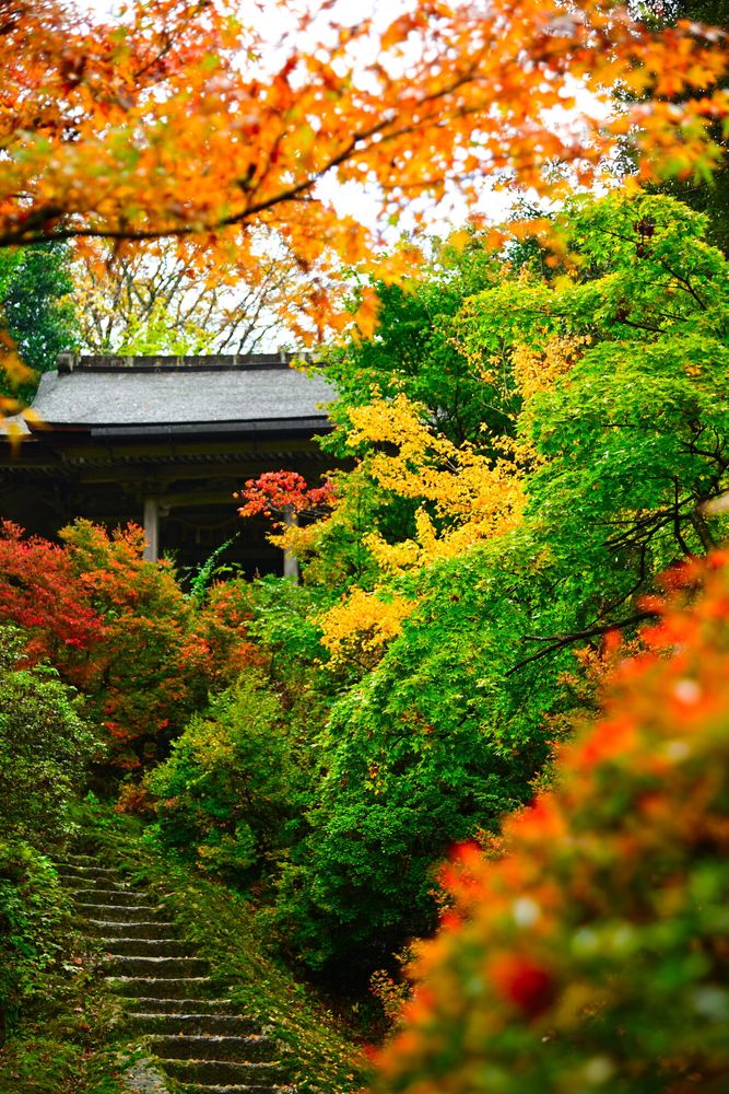那谷寺の画像 - 4枚目