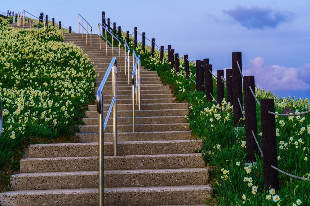 長崎のもざき恐竜パーク 水仙の丘】の周辺スポット・アクセス・口コミ