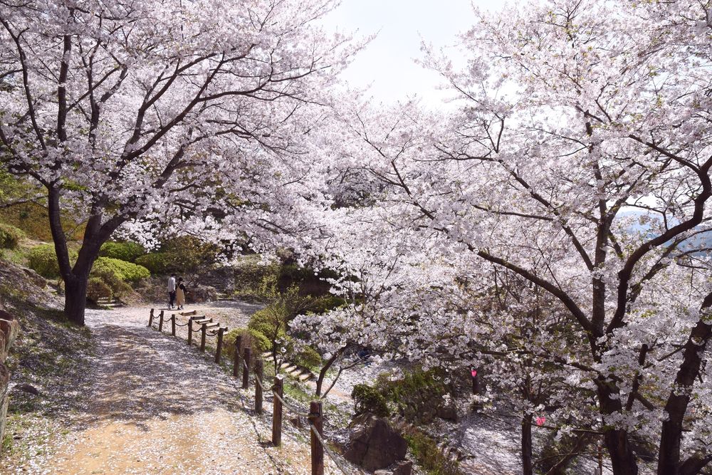 中尾城公園の画像 - 3枚目