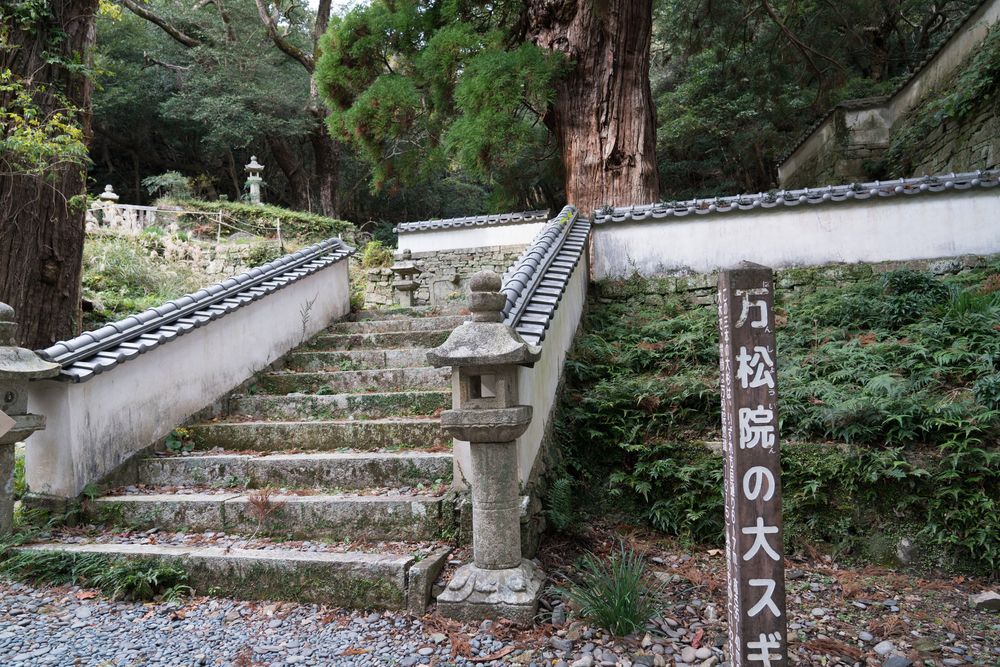 萬松院(万松院)の画像 - 4枚目