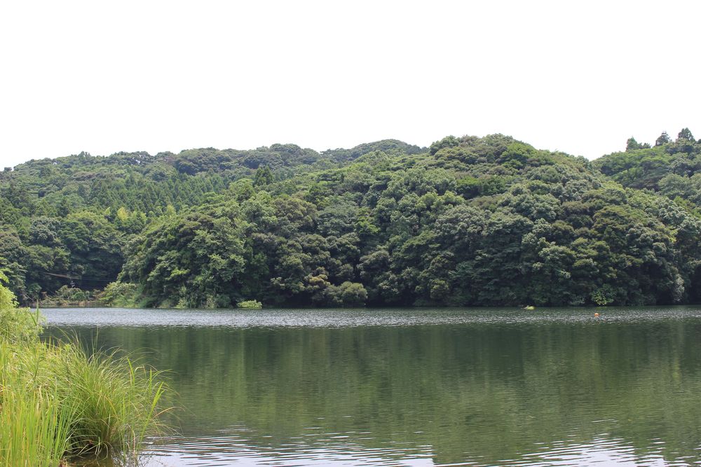 川原大池公園の画像 - 2枚目