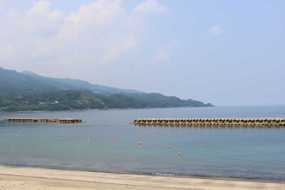川原大池公園の画像 - 3枚目