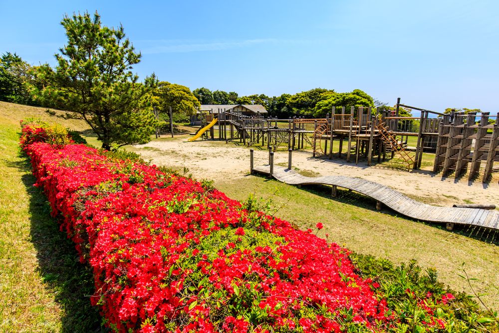 冷水岳公園の画像 - 2枚目