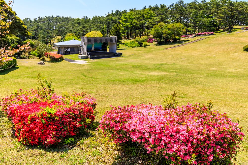 冷水岳公園の画像 - 3枚目
