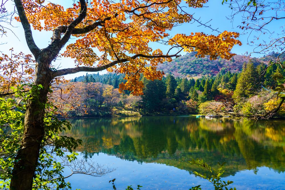 白雲の池の画像 - 2枚目
