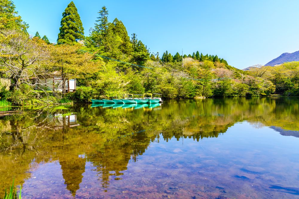 白雲の池の画像 - 3枚目