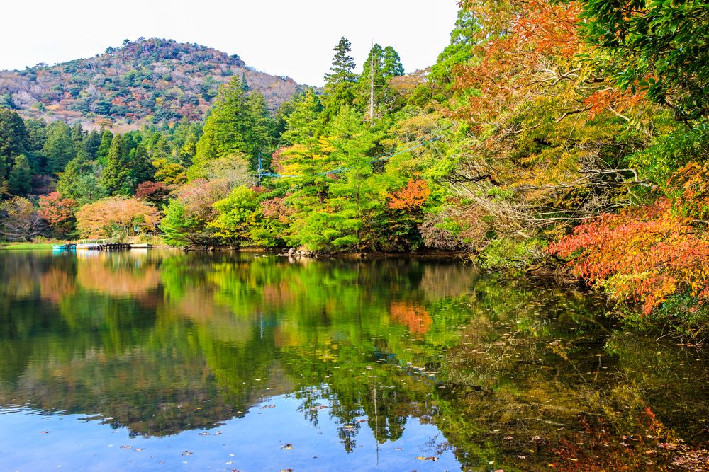 白雲の池の画像 - 5枚目