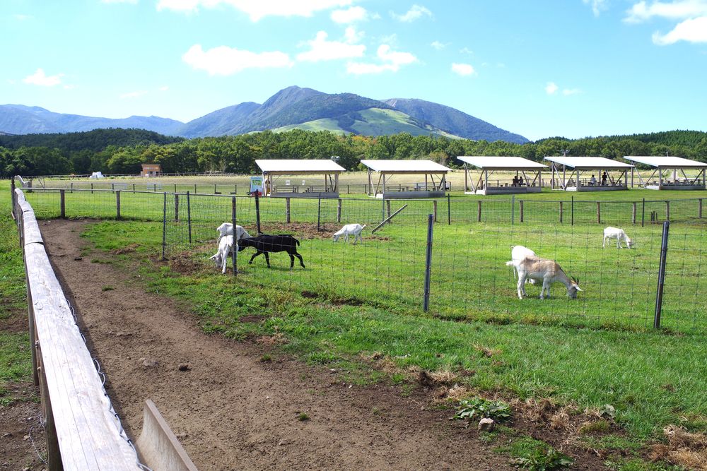 飯田高原の画像 - 3枚目