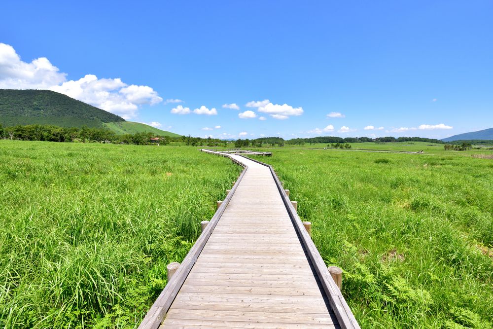 長者原】の周辺スポット・アクセス・口コミ - Prism Japan