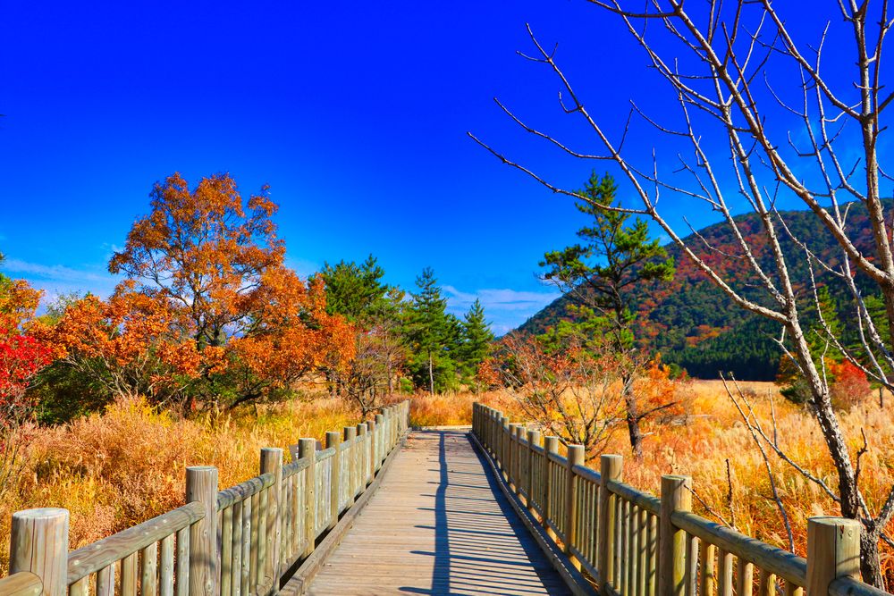 長者原】の周辺スポット・アクセス・口コミ - Prism Japan