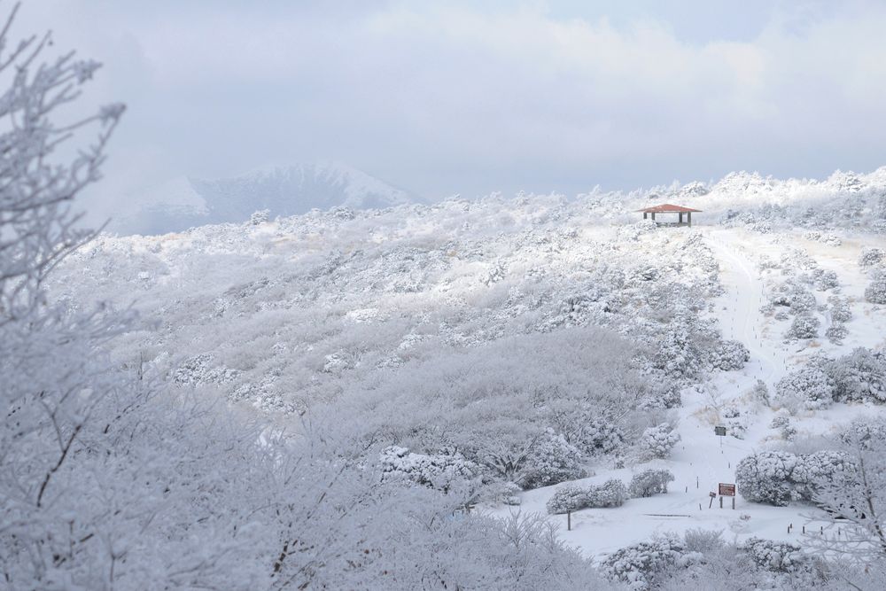 牧ノ戸峠の画像 - 2枚目