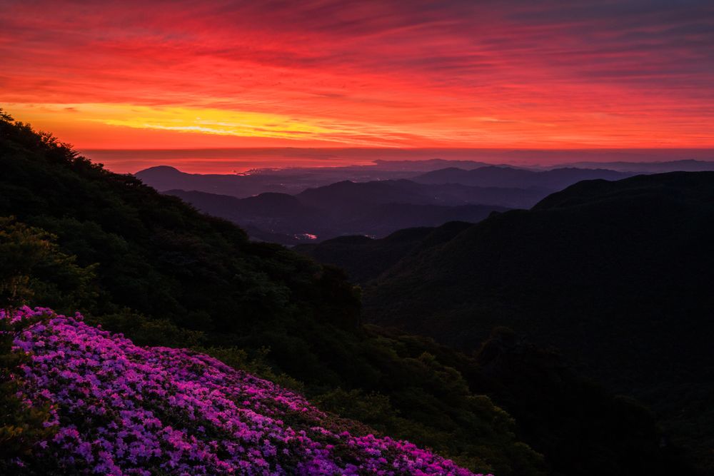 牧ノ戸峠の画像 - 3枚目