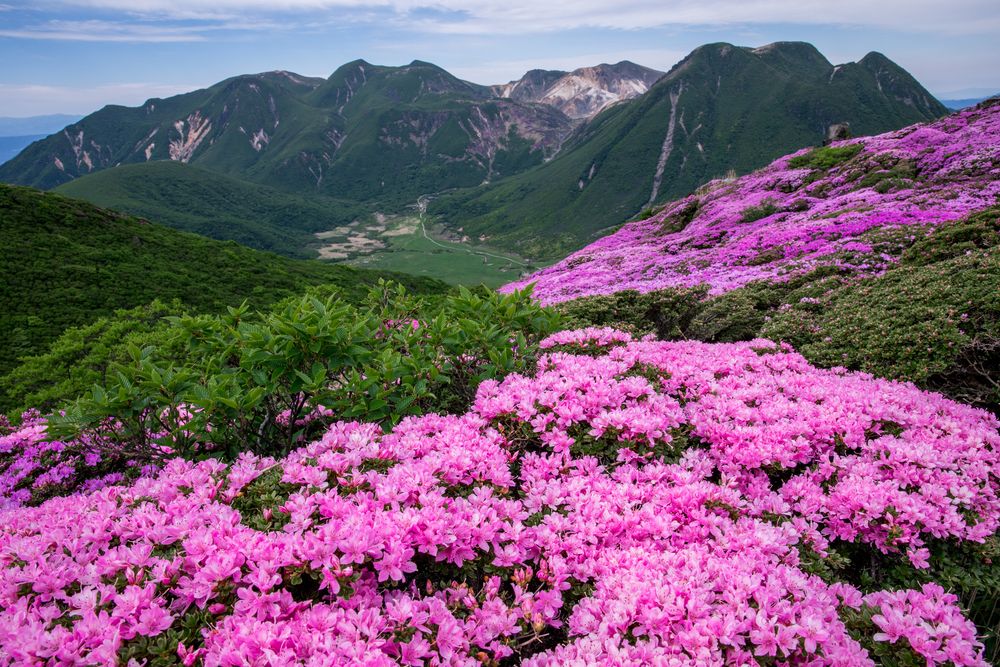 牧ノ戸峠の画像 - 4枚目