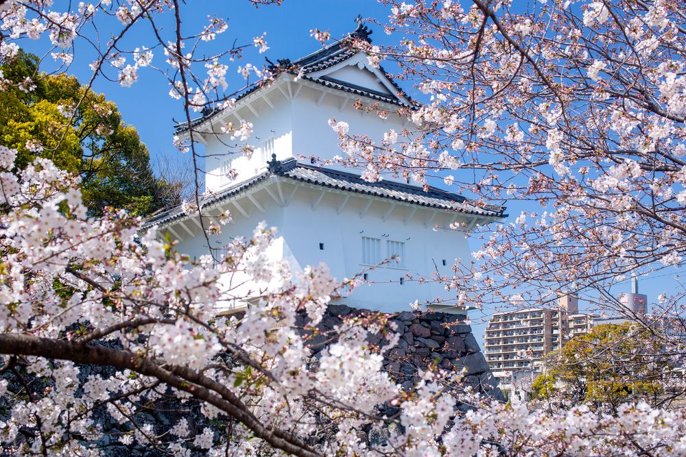 府内城跡の画像 - 4枚目