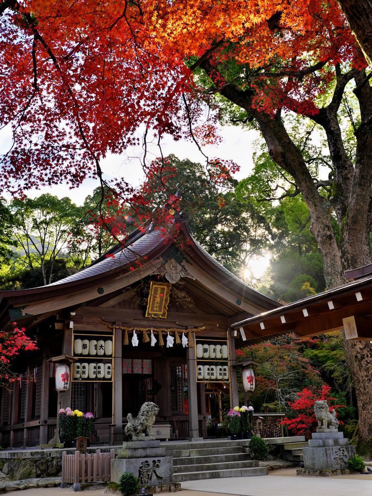 宝満宮竈門神社の画像 - 5枚目