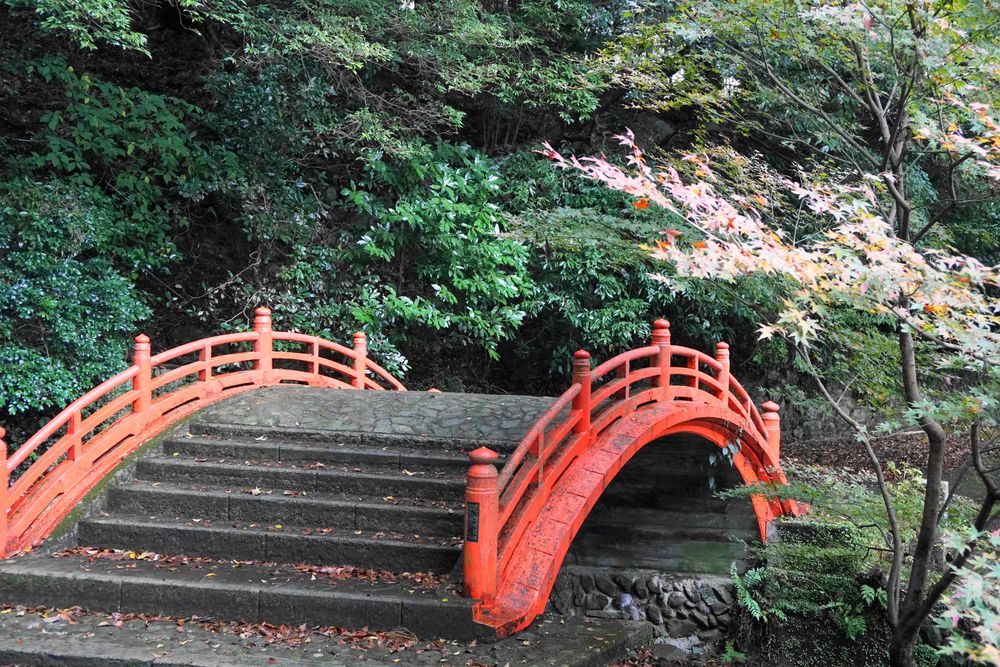 両子寺の画像 - 4枚目