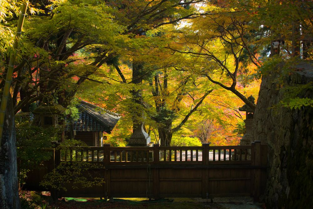 両子寺の画像 - 5枚目