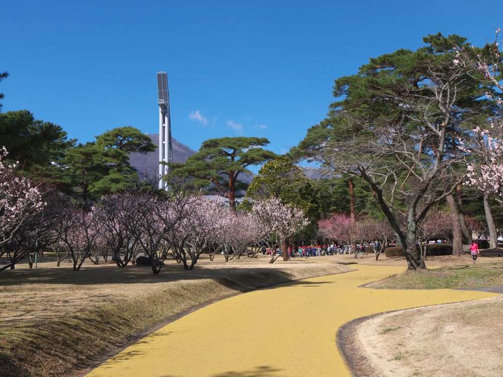 別府公園の画像 - 2枚目