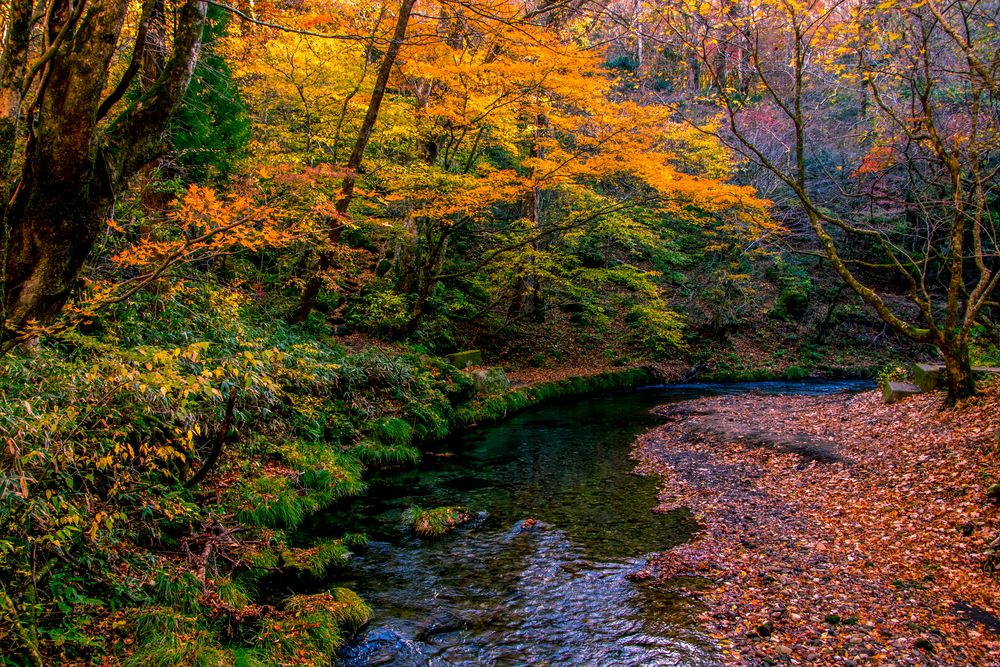 男池（おいけ）湧水群の画像 - 2枚目