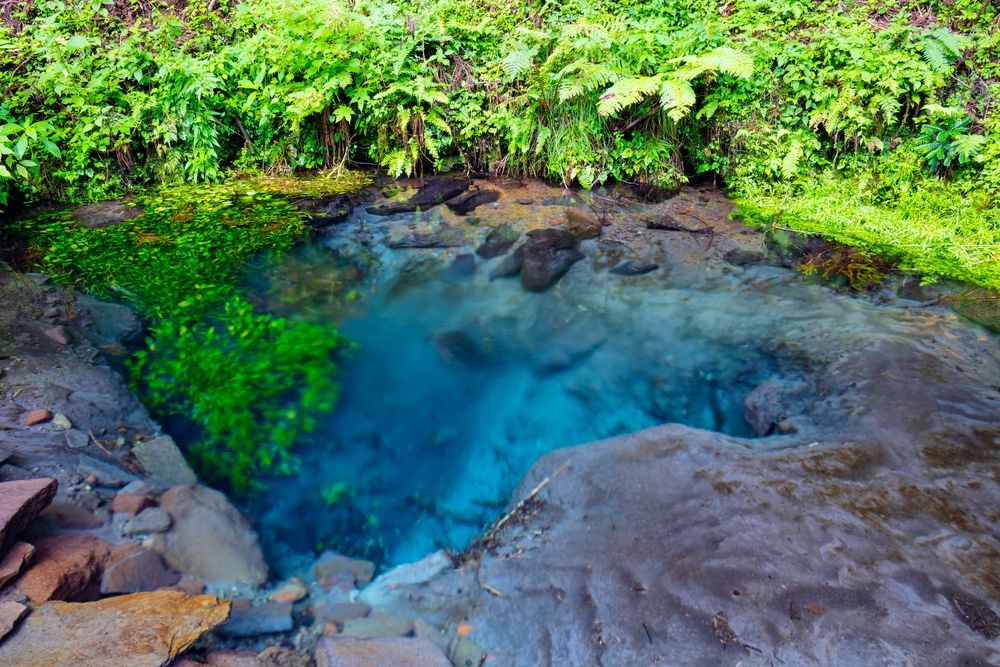 男池（おいけ）湧水群の画像 - 3枚目