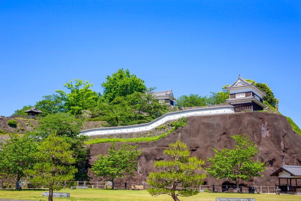 臼杵城跡(県指定史跡)