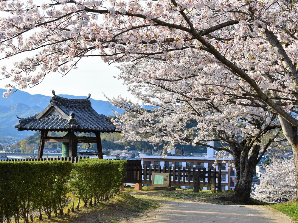 臼杵城跡(県指定史跡)の画像 - 5枚目
