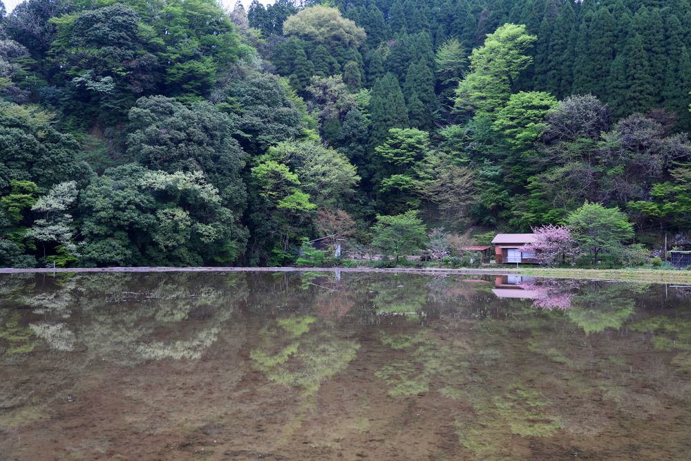 宝泉寺温泉の画像 - 3枚目