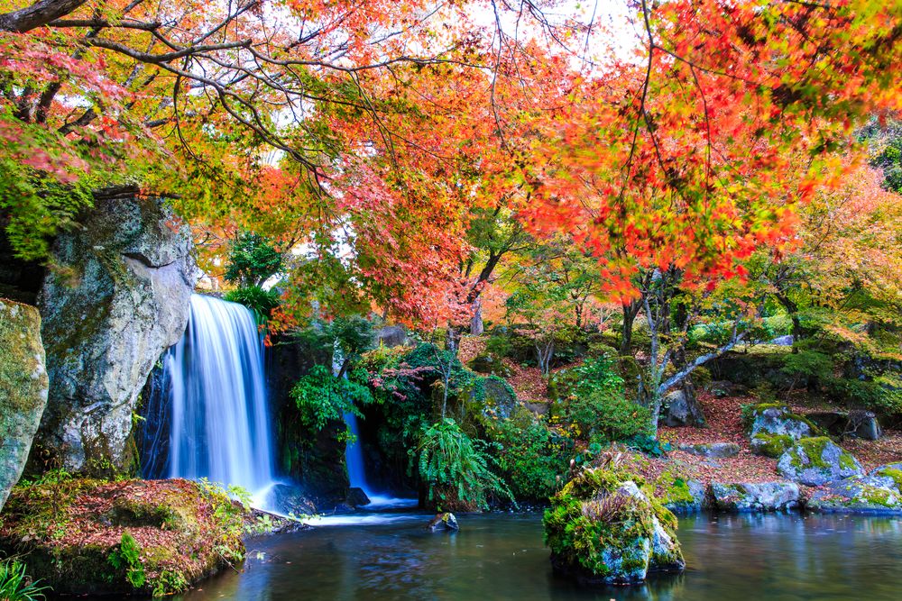 アブラハム渓谷 耶馬溪ダム記念公園 溪石園】の周辺スポット・アクセス・口コミ