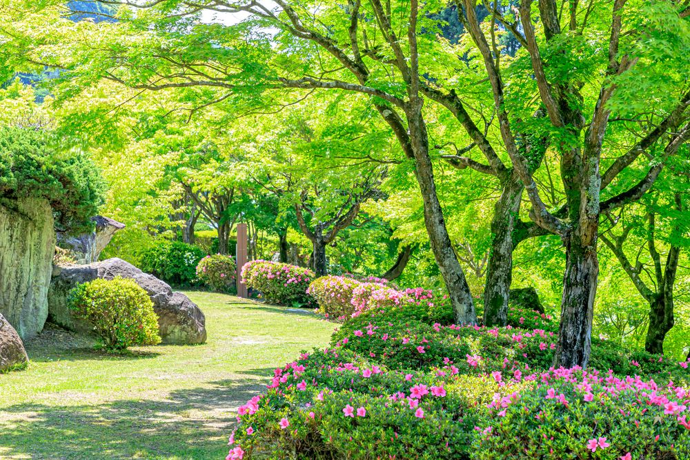 耶馬溪ダム記念公園 溪石園の画像 - 8枚目
