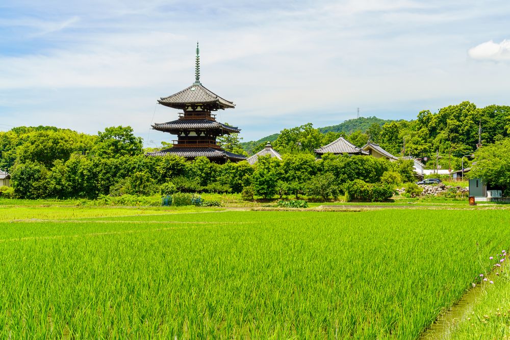 法隆寺の画像 - 7枚目