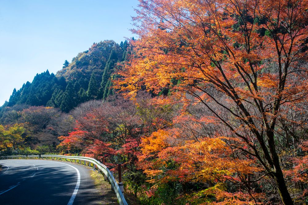 神角寺渓谷の画像 - 4枚目