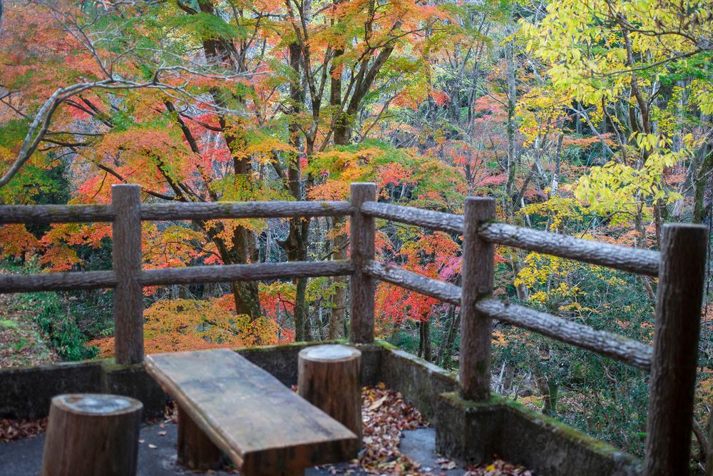 神角寺渓谷の画像 - 5枚目