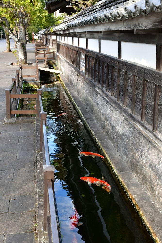 稲葉家下屋敷・旧平井家の画像 - 6枚目