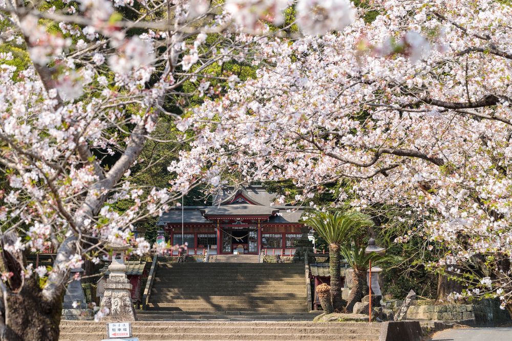 蒲生八幡神社の画像 - 3枚目