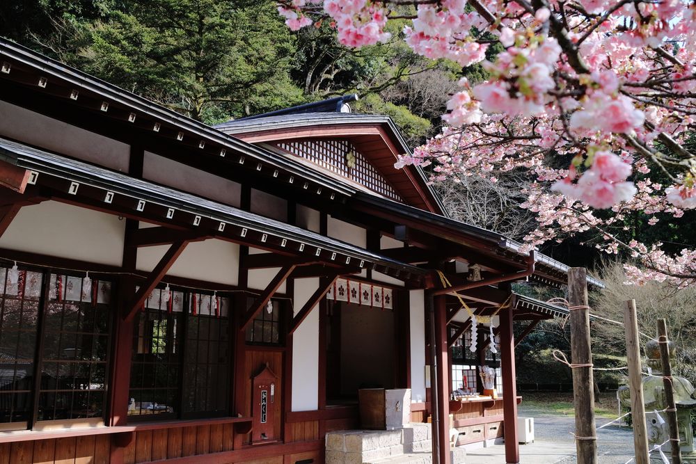 藤川天神 (菅原神社)の画像 - 3枚目