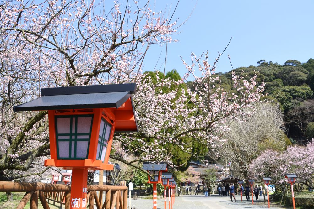 藤川天神 (菅原神社)の画像 - 4枚目