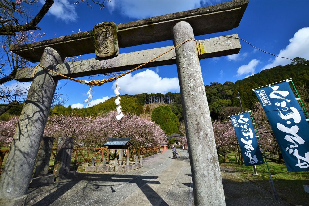 藤川天神 (菅原神社)の画像 - 5枚目