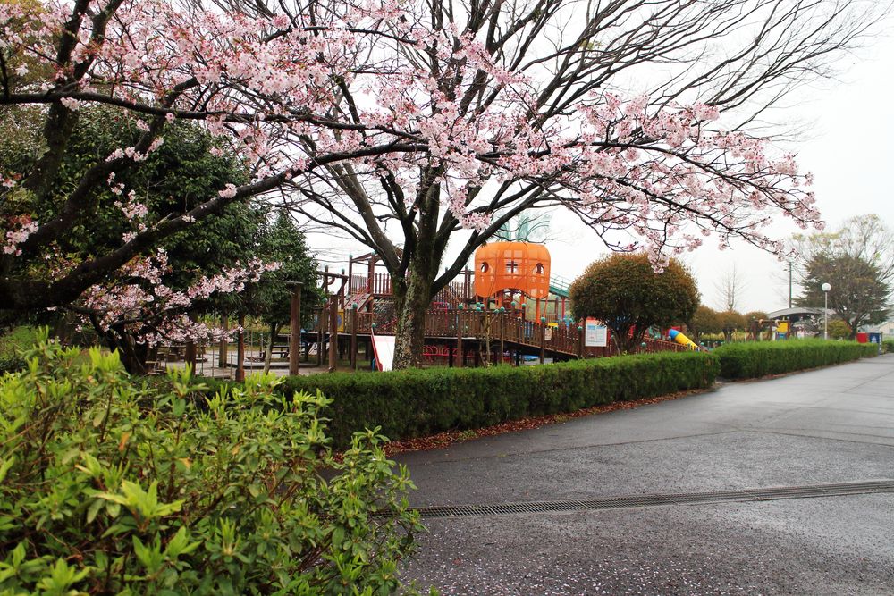 高岡公園の画像 - 5枚目